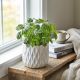 Pilea Aluminiowa Cadiera P12