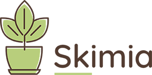 Skimia - Producent Roślin Ogrodowych