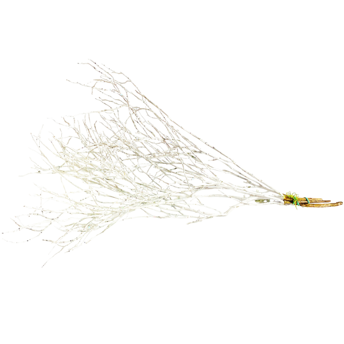Gałązki Brzozy Białe